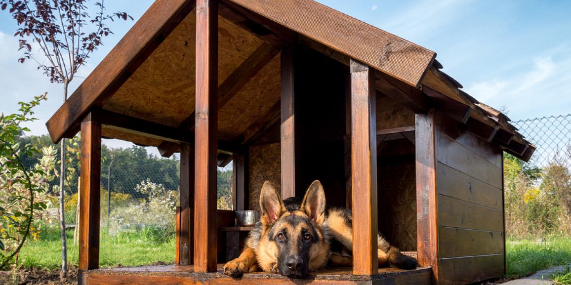Hundehütte Bausatz – Schicke Hütten für den Hund bauen