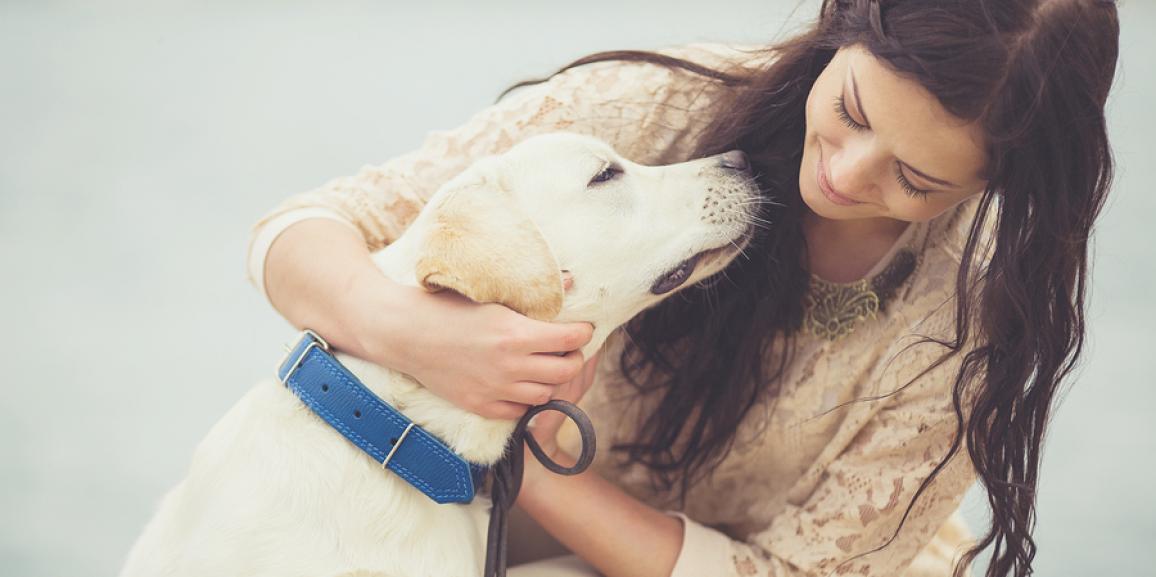 Erziehungshalsbänder für Hunde – Welche Arten gibt es?